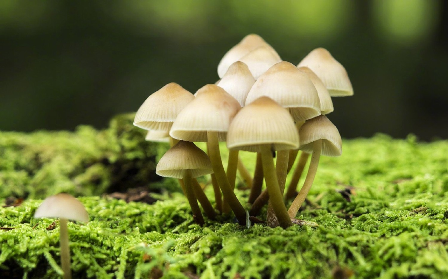 Win重置网络配置更新缓存方法