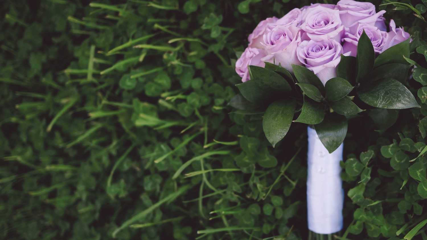 使用cmd命令查、修、删、文件 目录