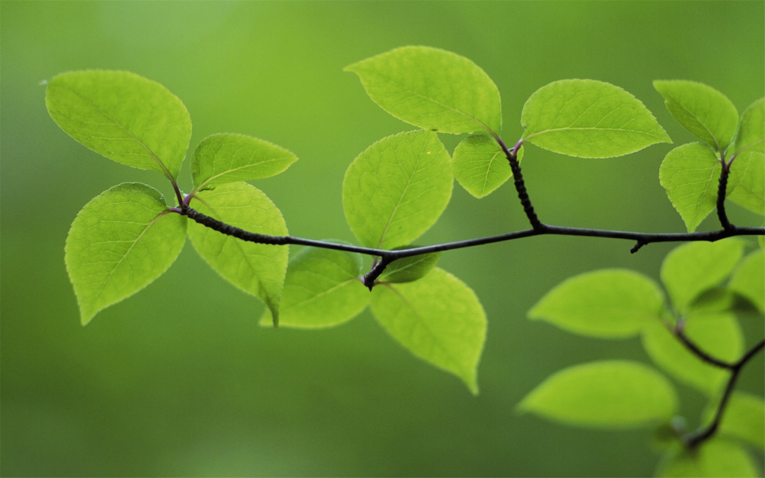 信息茧房：网络时代的迷思