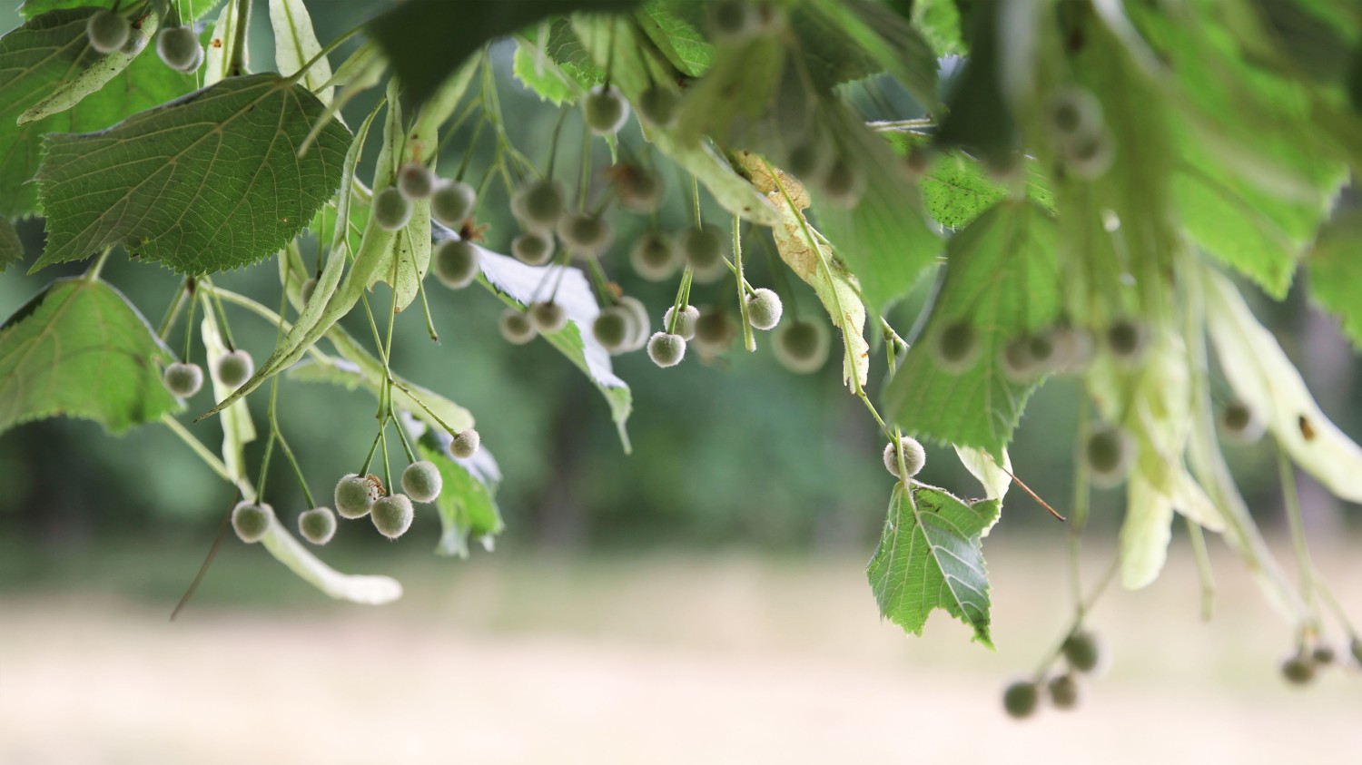 信息茧房：网络时代的迷思