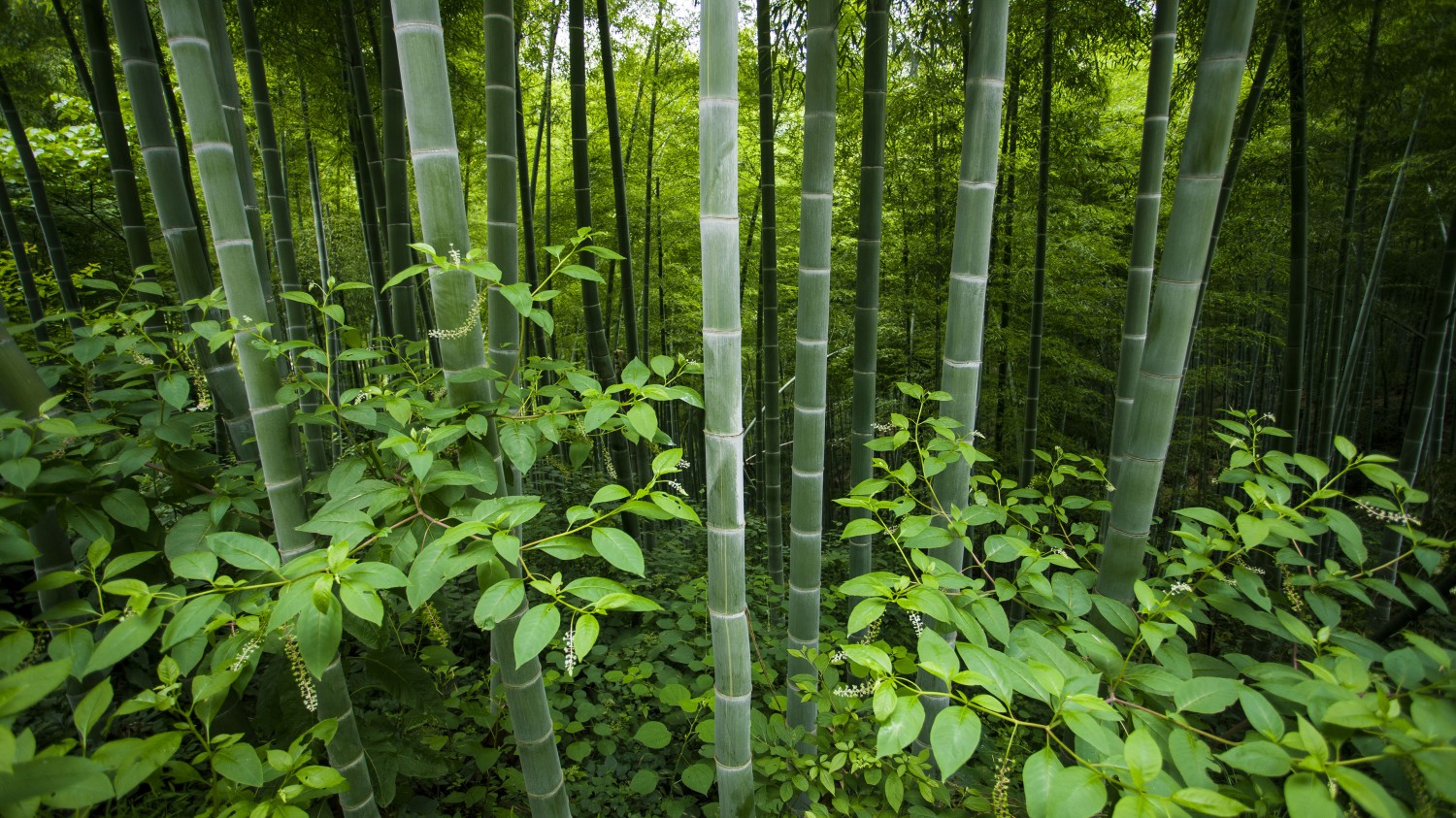 将群晖作为 Mac 系统的 Time Machine 时间机器备份磁盘